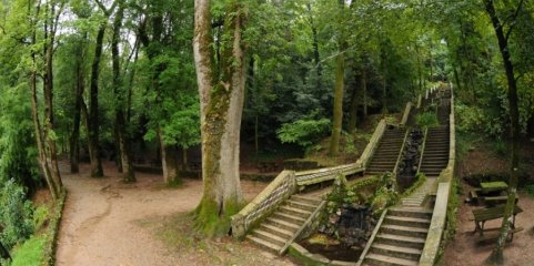 Mata do Bussaco recebe certificação de primeira Floresta Terapêutica da Península Ibérica