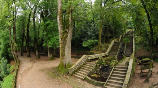 Mata do Bussaco recebe certificação de primeira Floresta Terapêutica da Península Ibérica