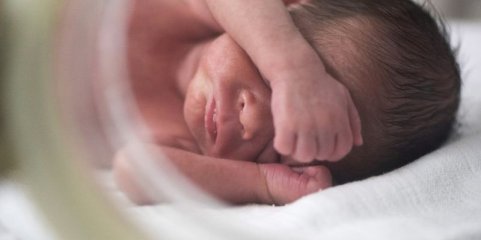 Estudo da FMUP evidencia benefícios dos cuidados pele com pele em prematuros