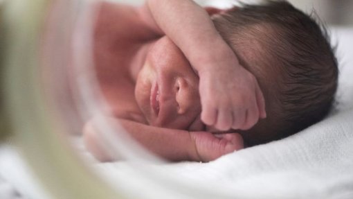 Estudo da FMUP evidencia benefícios dos cuidados pele com pele em prematuros