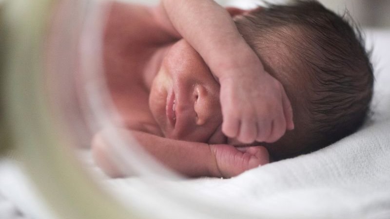 Estudo da FMUP evidencia benefícios dos cuidados pele com pele em prematuros