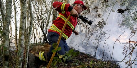 Oito concelhos de Vila Real e Bragança em perigo máximo de incêndio