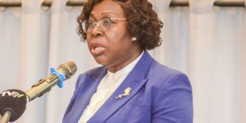 Nova escola em Moçambique quer responder aos desafios de saúde pública na CPLP