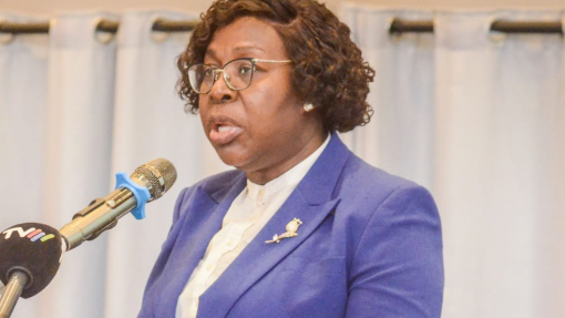 Nova escola em Moçambique quer responder aos desafios de saúde pública na CPLP