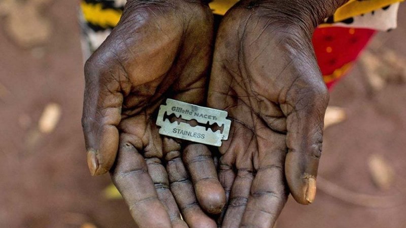 Registos de mutilação genital feminina em Portugal sobem 15% em 2025 - DGS