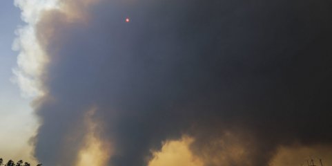 Dezassete concelhos de cinco distritos em perigo máximo de incêndio