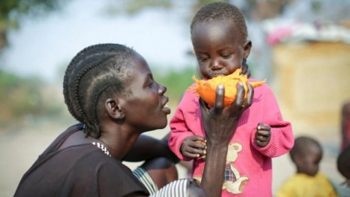 Fome afeta cerca de 645 milhões de pessoas, quase metade em África - ONU