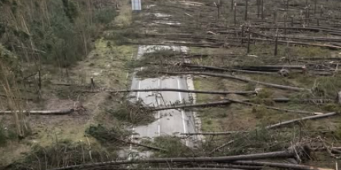Mau tempo: ULS da Região de Leiria destaca resiliência e alerta para “ansiedade ambiental”