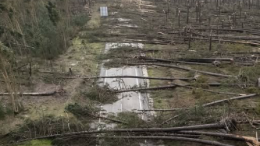 Mau tempo: ULS da Região de Leiria destaca resiliência e alerta para “ansiedade ambiental”