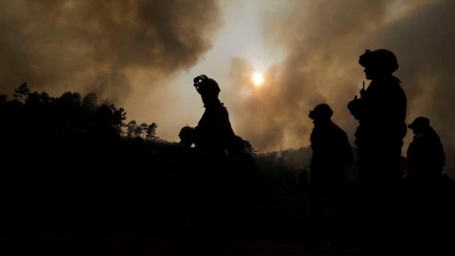 Mais de 50 concelhos do interior em perigo máximo de incêndio