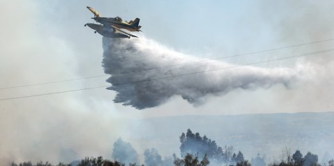 Mais de 50 concelhos do interior e do algarve em perigo máximo de incêndio