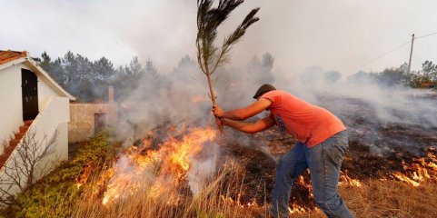Plataforma portuguesa que ajuda à tomada de decisão no combate a incêndios em testes