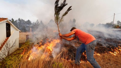 Plataforma portuguesa que ajuda à tomada de decisão no combate a incêndios em testes