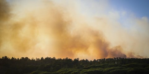 Cerca de 50 concelhos do interior norte e centro e Algarve em risco máximo de incêndio