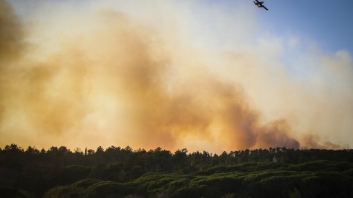 Cerca de 50 concelhos do interior norte e centro e Algarve em risco máximo de incêndio