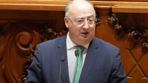 Governo alarga apoios para os agricultores afetados pelo surto de língua azul