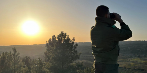Associações de ambiente pedem contratação urgente de vigilantes da natureza