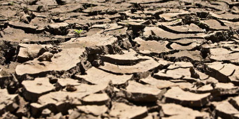 Inglaterra e País de Gales registam seca sem precedentes em quase dois séculos