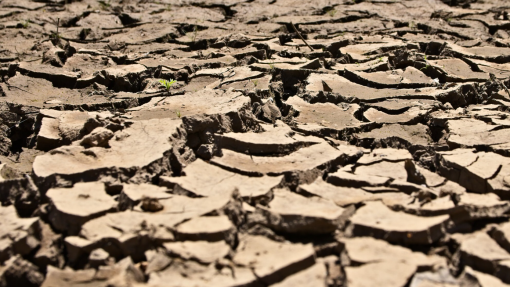 Inglaterra e País de Gales registam seca sem precedentes em quase dois séculos