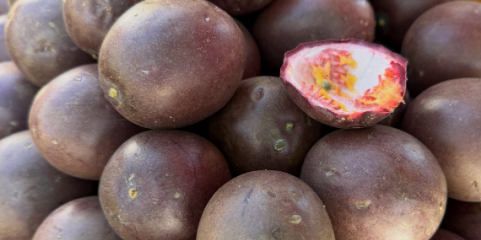 Casca de maracujá-roxo pode ajudar a combater a inflamação associada à asma - Estudo