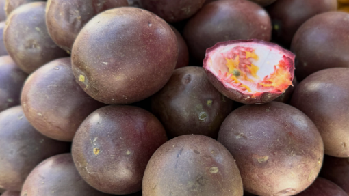 Casca de maracujá-roxo pode ajudar a combater a inflamação associada à asma - Estudo