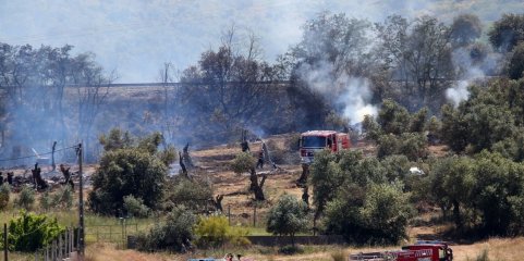 Cerca de 30 concelhos do interior Norte e Centro e Algarve em perigo máximo de incêndio
