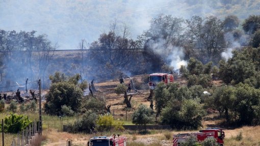 Cerca de 30 concelhos do interior Norte e Centro e Algarve em perigo máximo de incêndio