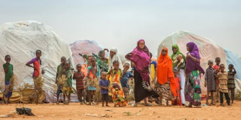 FAO apoiou 5.640 famílias moçambicanas afetadas por conflito e choques climáticos