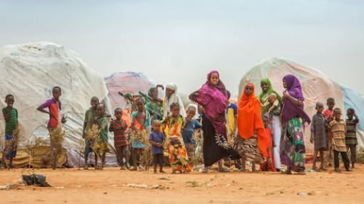 FAO apoiou 5.640 famílias moçambicanas afetadas por conflito e choques climáticos
