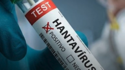 França deteta novo caso de hantavírus transmissível entre humanos