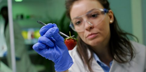 Inspeção Atividades Económicas fez 230 apreensões de géneros alimentícios nos Açores em 2025