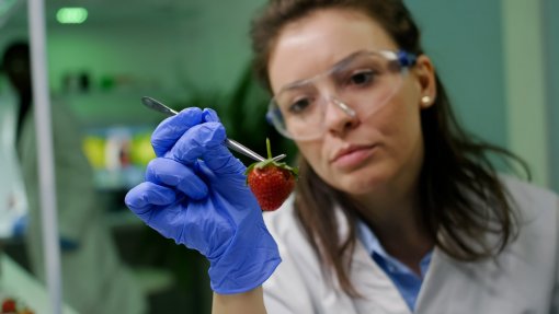 Inspeção Atividades Económicas fez 230 apreensões de géneros alimentícios nos Açores em 2025