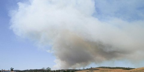 Cerca de 30 concelhos do interior Norte e Centro e Algarve em perigo máximo de incêndio