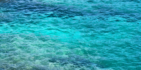 Temperatura média da superfície do mar atinge novo recorde em julho