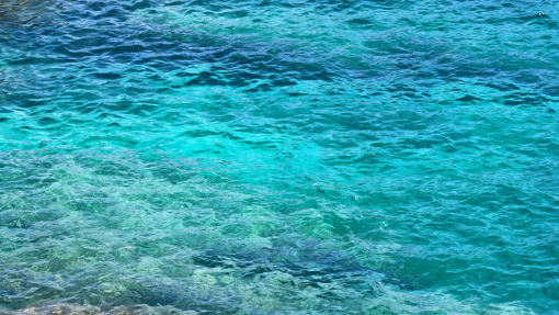 Temperatura média da superfície do mar atinge novo recorde em julho