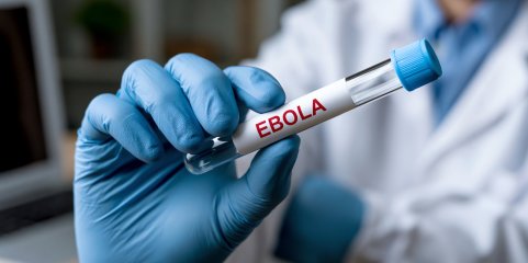 Ébola: Número de mortos na RDCongo sobe para 1.960
