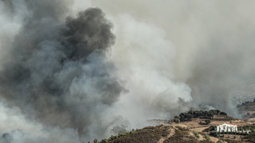 Cerca de 70 concelhos do interior em perigo máximo ou muito elevado de incêndio