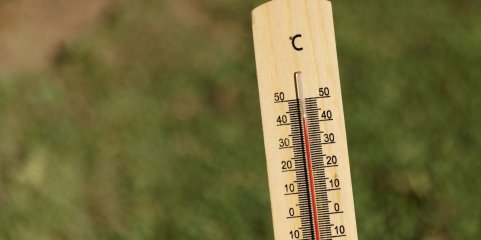 Aviso amarelo devido ao calor hoje em vigor em quatro distritos - IPMA