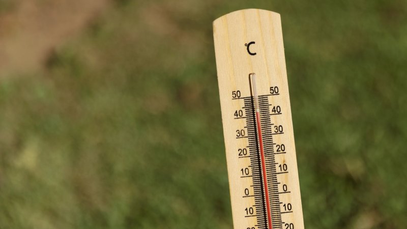 Aviso amarelo devido ao calor hoje em vigor em quatro distritos - IPMA