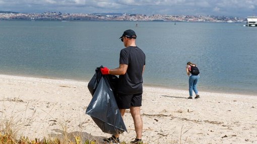 SEIXAL: Autarquia e Liga para a Proteção da Natureza promovem limpeza na praia dos Barcos