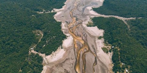 Governo brasileiro admite que seca pode superar recorde na Amazónia