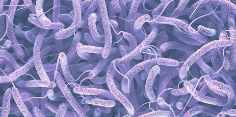 UE disponibiliza 2,3 ME a países da África Central e Ocidental para conterem cólera