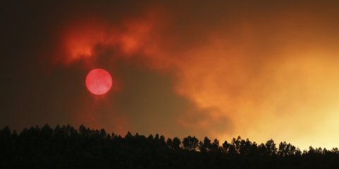 Bruxelas promete proposta para reforçar resiliência climática após verão extremo