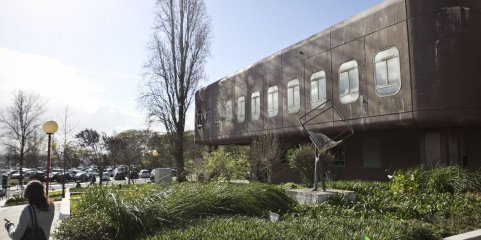 BE pede audição de ministra da Saúde sobre suspensão da IVG no Garcia de Orta