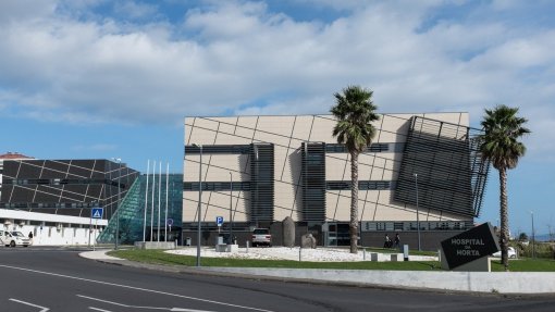 Vírus de elevada transmissibilidade estará na origem de surto de gastroenterite no Faial