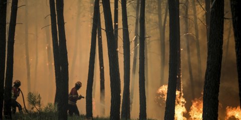 Sete concelhos de Bragança, Castelo Branco e Guarda em perigo máximo de incêndio