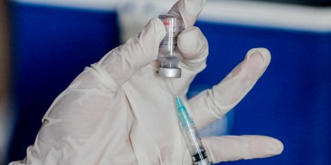 Moçambique vai receber mais um milhão de doses de vacina contra febre aftosa