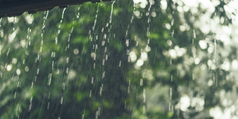 Depressão típica de outono pode trazer chuva e vento a partir de domingo - IPMA