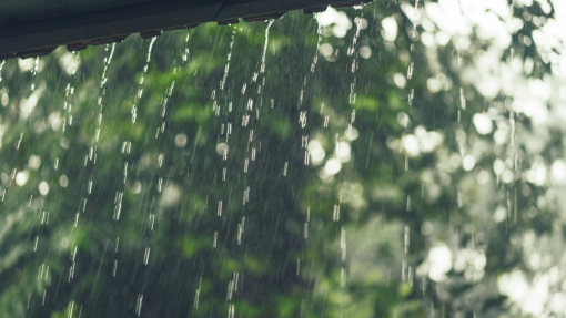 Depressão típica de outono pode trazer chuva e vento a partir de domingo - IPMA