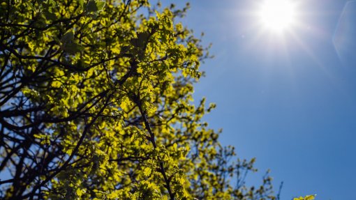Calor: Dados provisórios apontam mais de 30 mil mortes em excesso na Europa